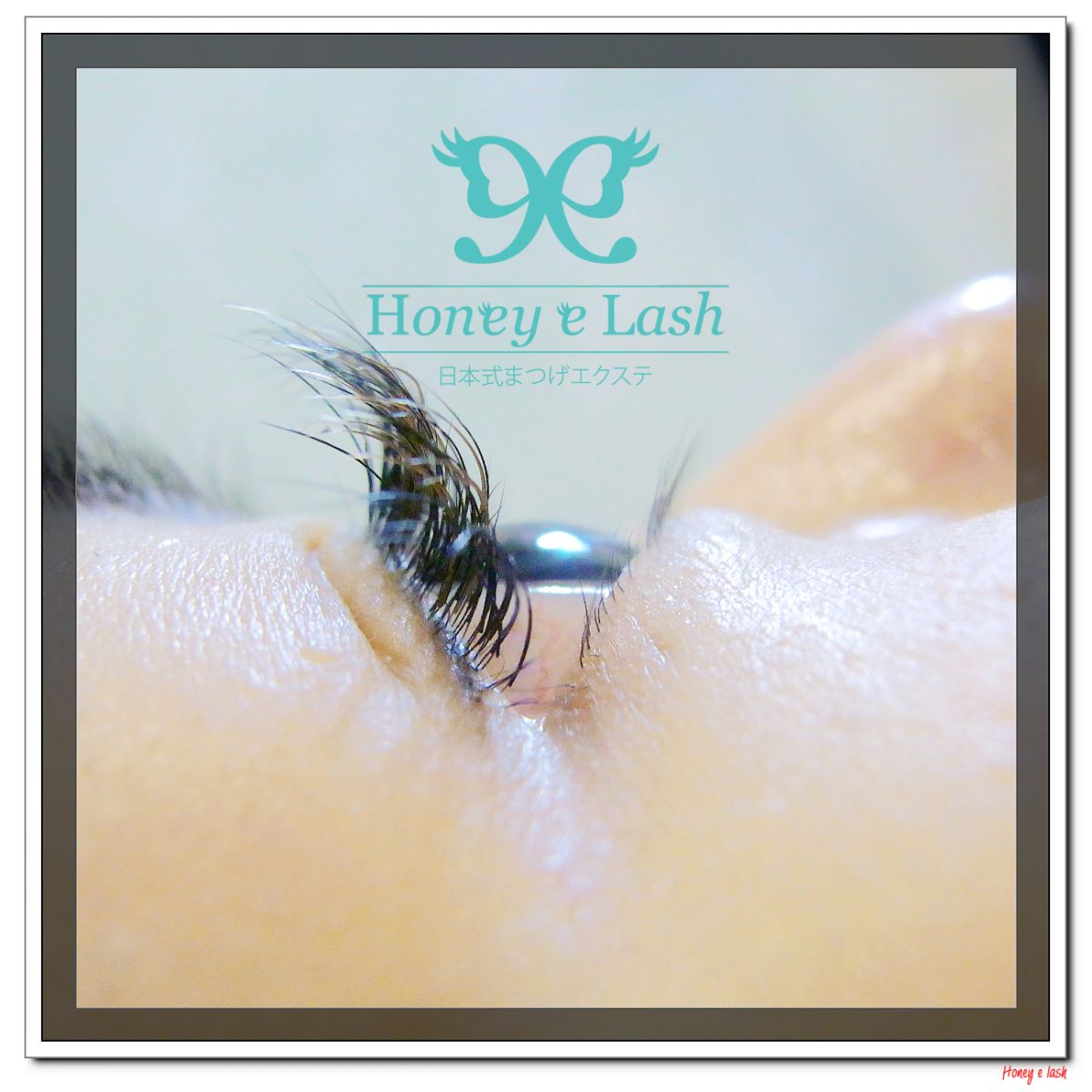 Honey e Lash 最頂級北美抗菌貂毛~ (優質植睫接